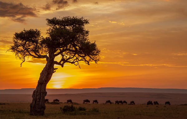 Africa-sunset-by-Eric-Lindberg